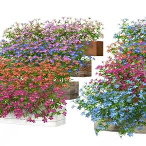 现代花卉3D模型下载
